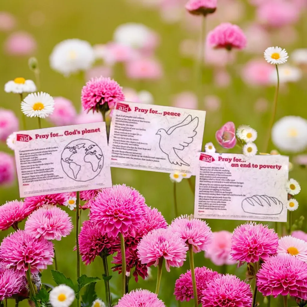 poster cards surrounded by flowers, in front of meadow