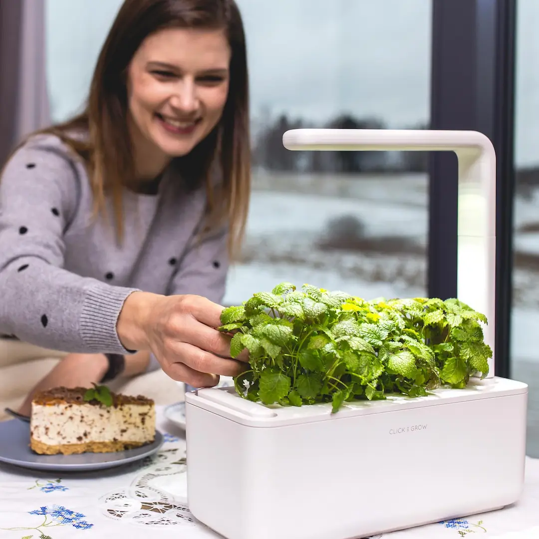 A woman caring about a plant in white container